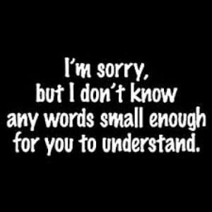 A black and white image of a person saying i 'm sorry but i don 't know any words small enough for you to understand.