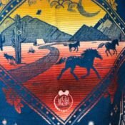 Southwestern textile depicting galloping horses