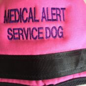 Pink medical alert service dog vest