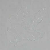 A white bird is sitting on the ground